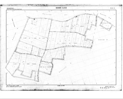 Bonnée - Sections