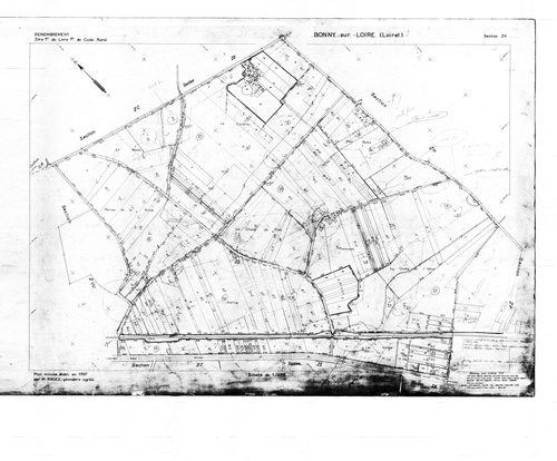 Bonny-sur-Loire - Sections