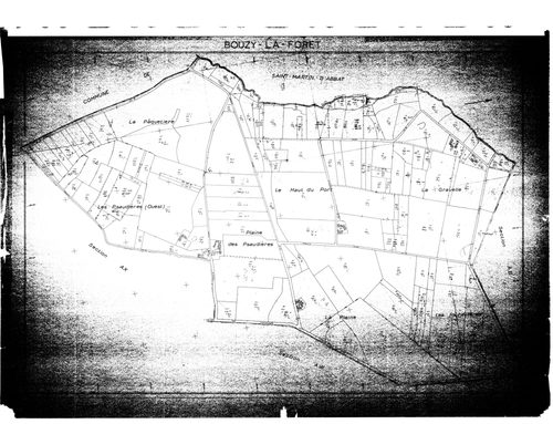 Bouzy-la-Forêt - Sections