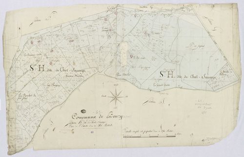 Bouzy-la-Forêt - Sections