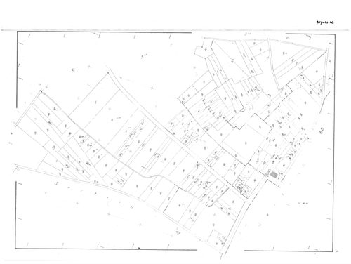 Boynes - Sections