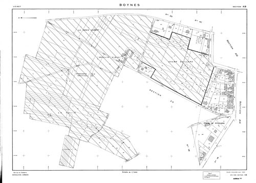 Boynes - Sections
