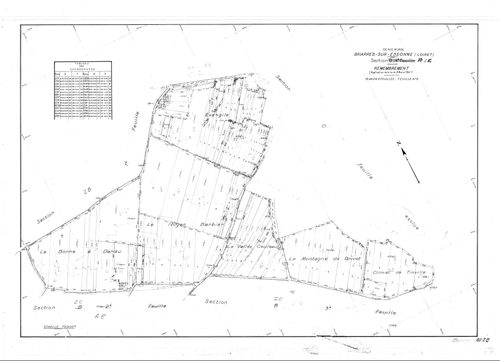 Briarres-sur-Essonne - Sections