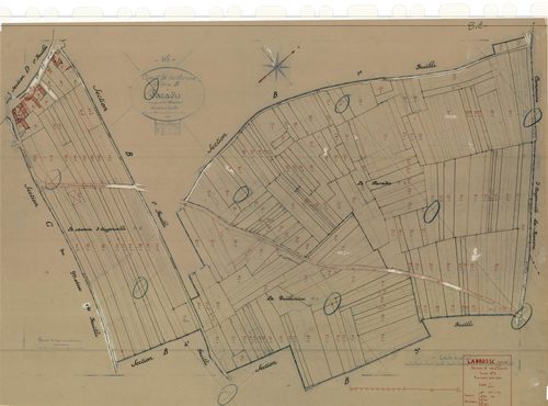 Labrosse - Sections