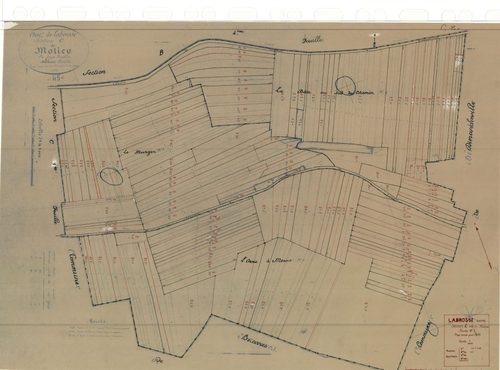 Labrosse - Sections