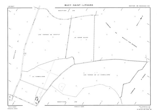 Bucy-Saint-Liphard - Sections