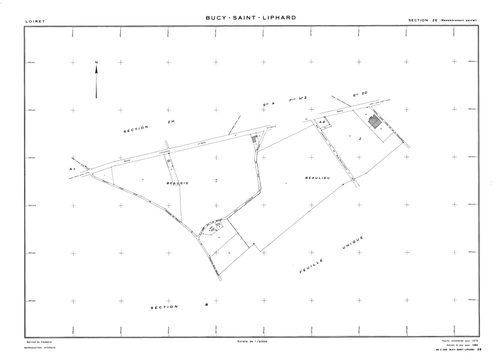 Bucy-Saint-Liphard - Sections