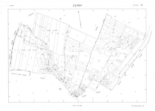 Cepoy - Sections