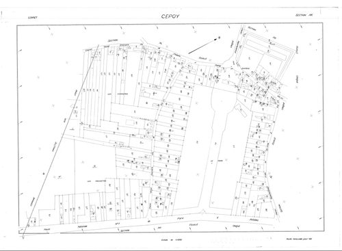 Cepoy - Sections