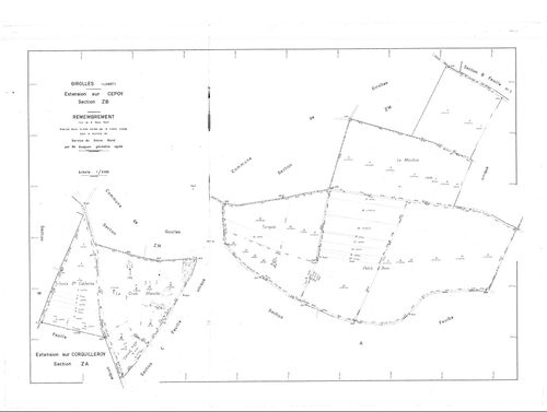 Cepoy - Sections