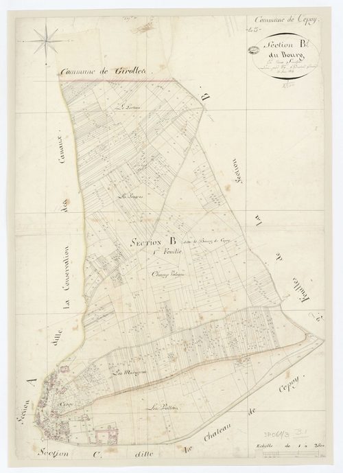 Cepoy - Sections