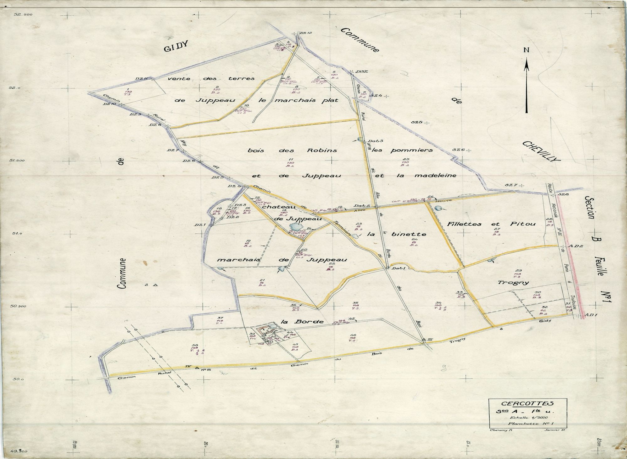 Cercottes - Sections
