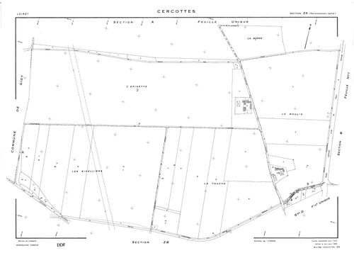 Cercottes - Sections