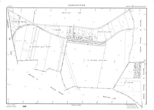 Cercottes - Sections
