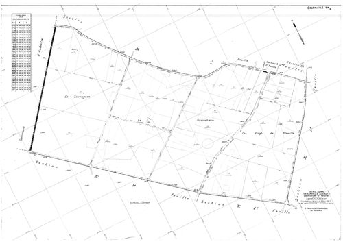 Césarville - Sections