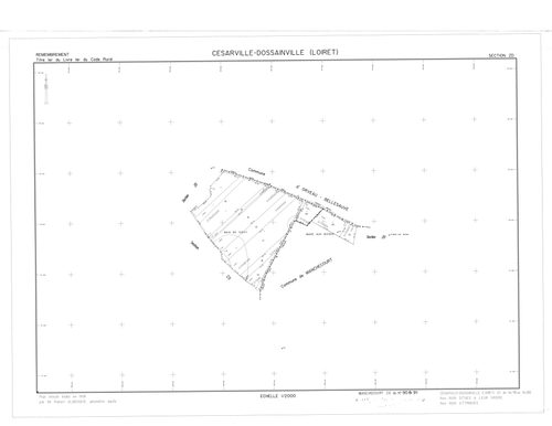 Césarville-Dossainville - Sections
