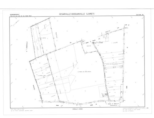 Césarville-Dossainville - Sections