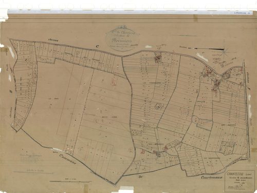 Chantecoq - Sections