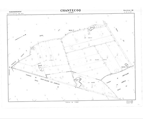 Chantecoq - Sections