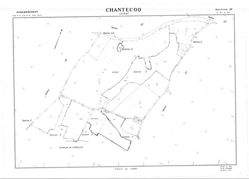 Chantecoq - Sections