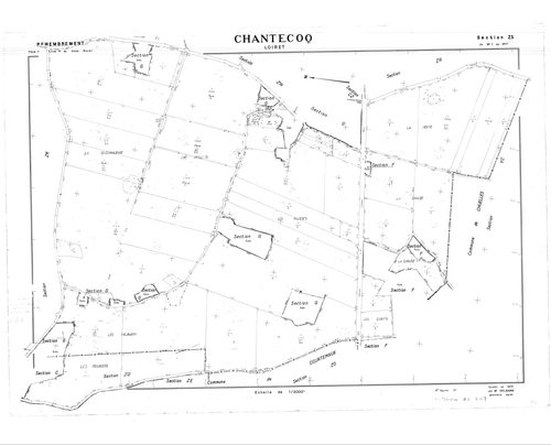 Chantecoq - Sections