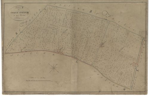 La Chapelle-Saint-Mesmin - Sections