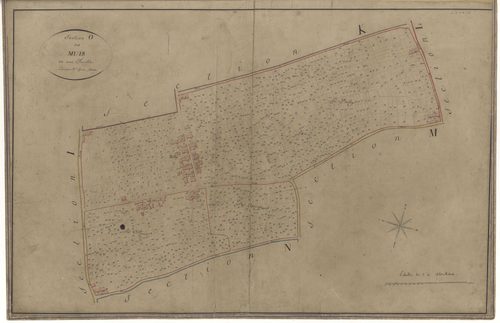 La Chapelle-Saint-Mesmin - Sections