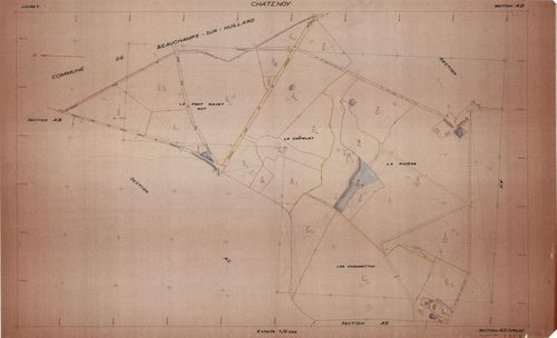 Châtenoy - Sections