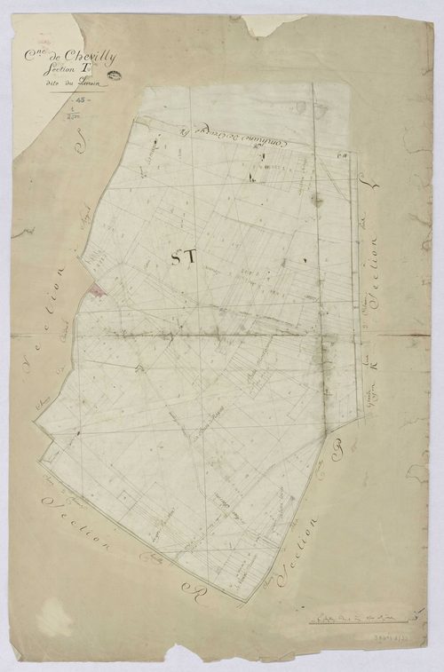 Chevilly - Sections