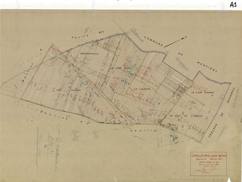 Chilleurs-aux-Bois - Sections