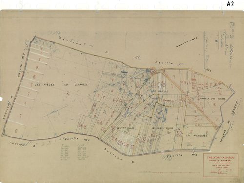 Chilleurs-aux-Bois - Sections