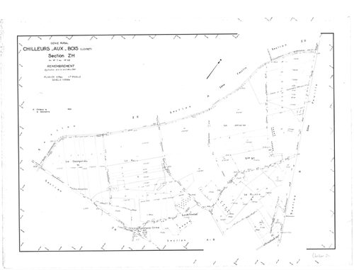 Chilleurs-aux-Bois - Sections