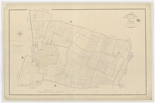 Corbeilles - Sections
