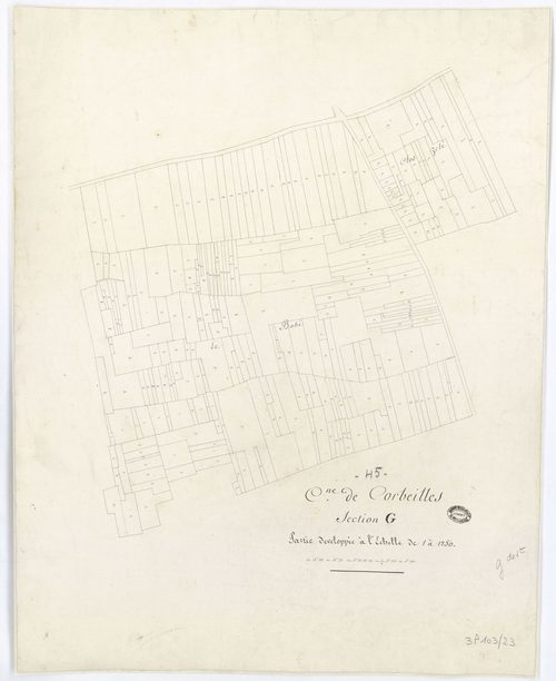 Corbeilles - Sections