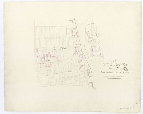 Corbeilles - Sections