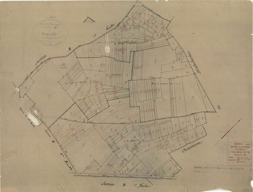 Coudray - Sections