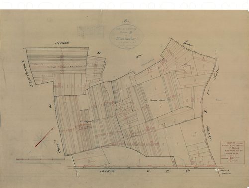 Coudray - Sections