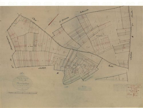 Coudray - Sections