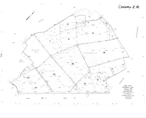 Coudray - Sections