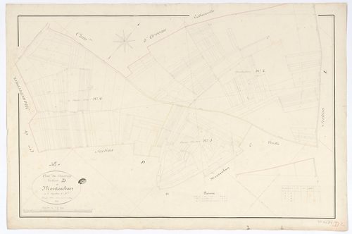 Coudray - Sections