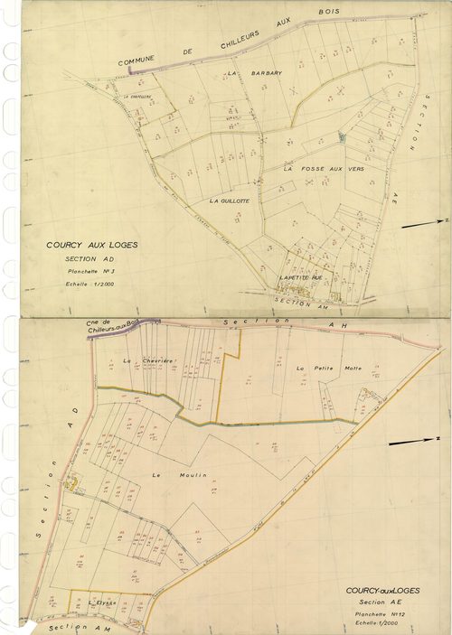 Courcy-aux-Loges - Sections