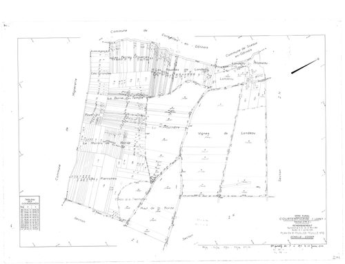 Courtempierre - Sections