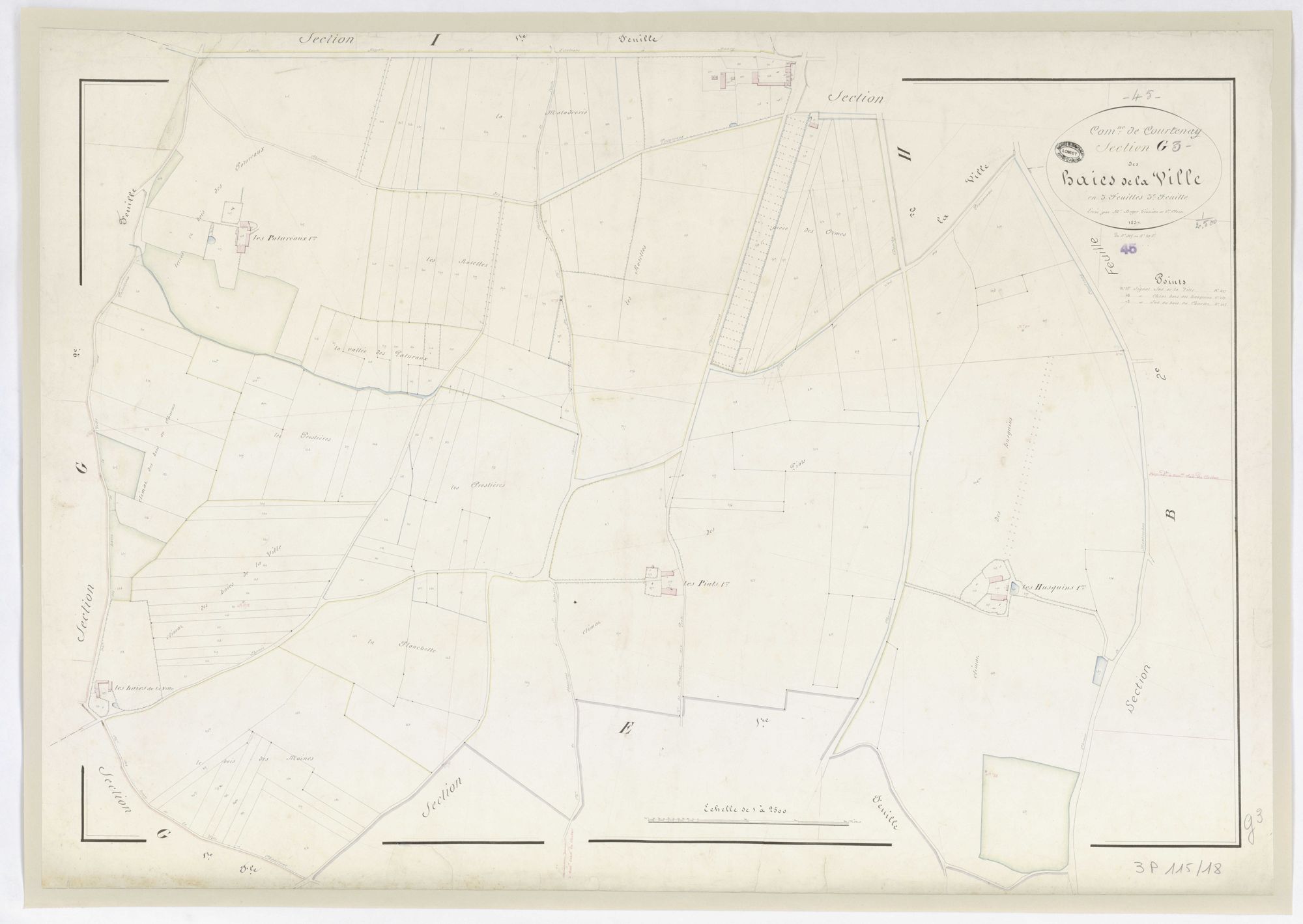 Courtenay - Sections