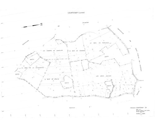 Courtenay - Sections