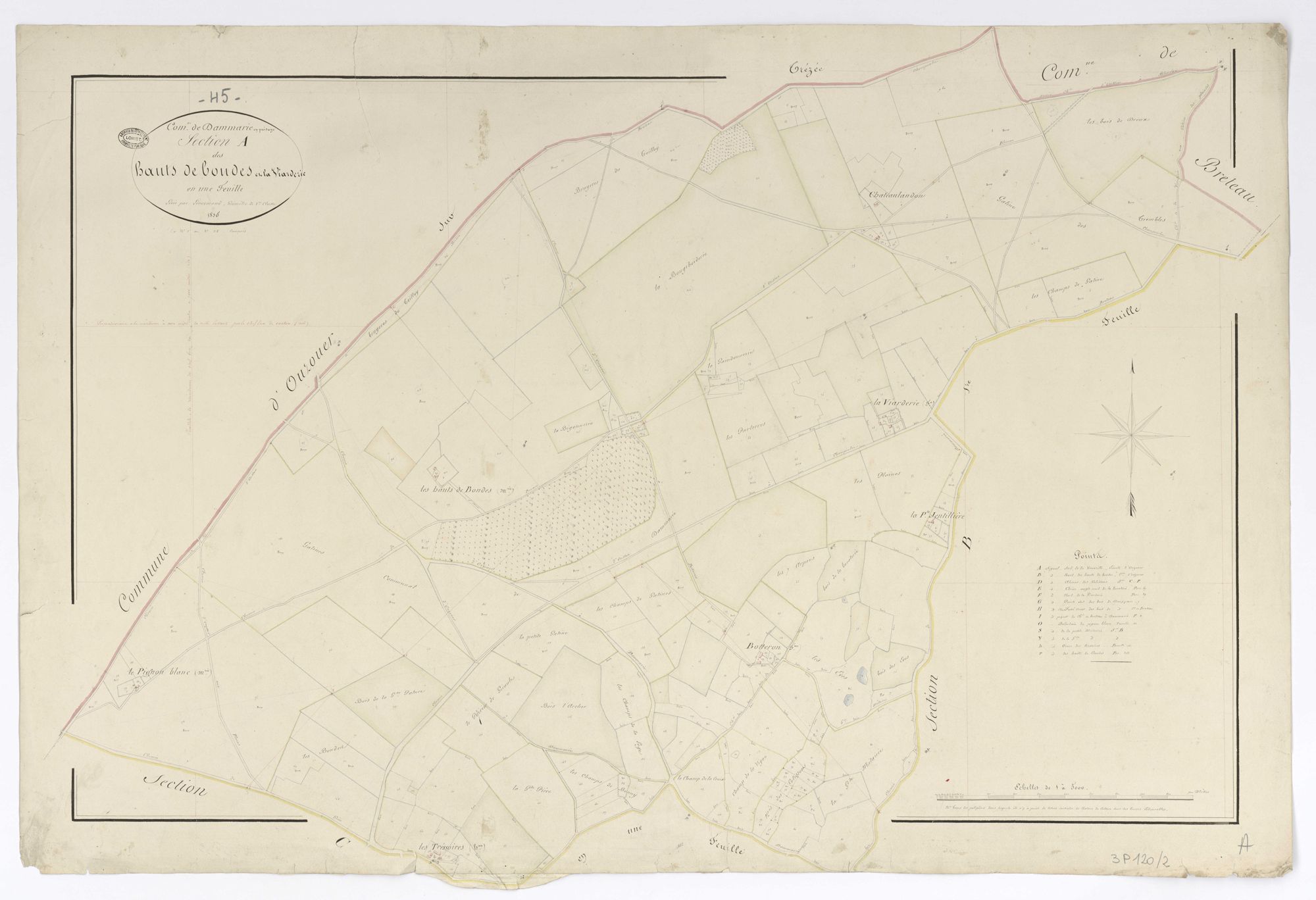 Dammarie-en-Puisaye - Sections