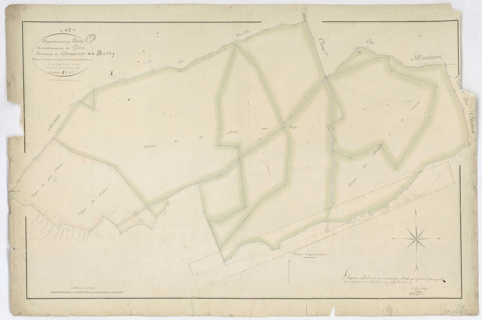 Dampierre-en-Burly - Sections