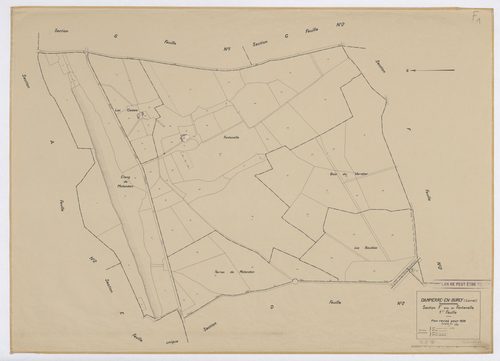 Dampierre-en-Burly - Sections