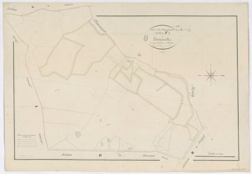 Dampierre-en-Burly - Sections