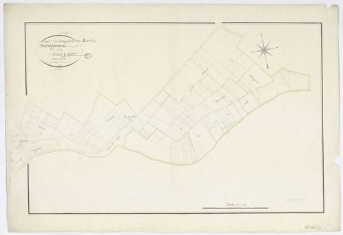 Dampierre-en-Burly - Sections