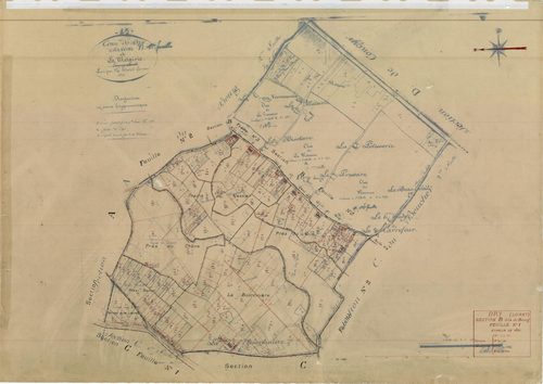 Dry - Sections
